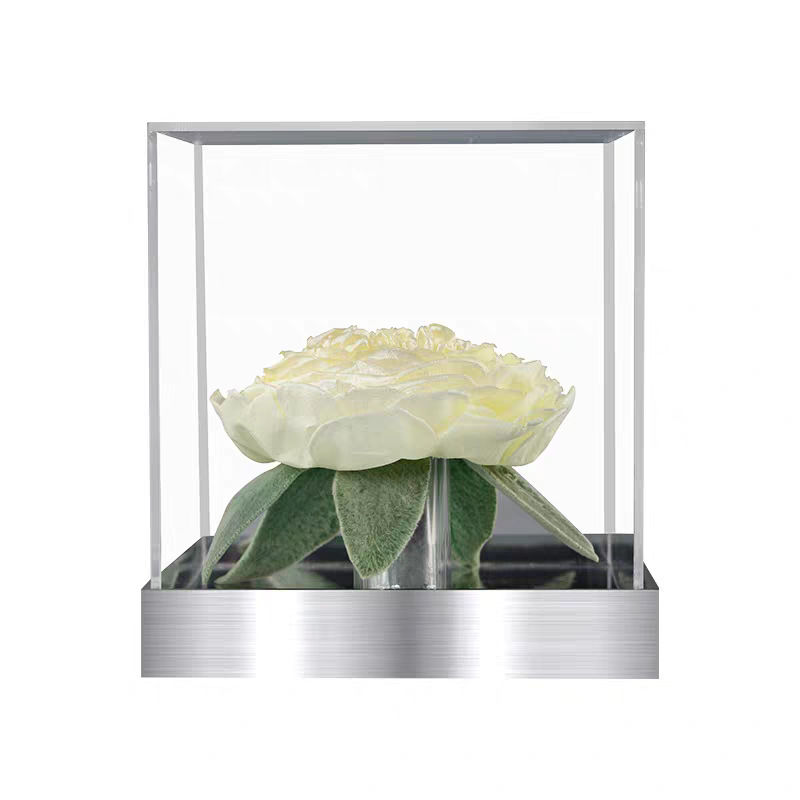 Mirror Single Rose
