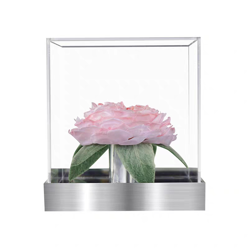 Mirror Single Rose