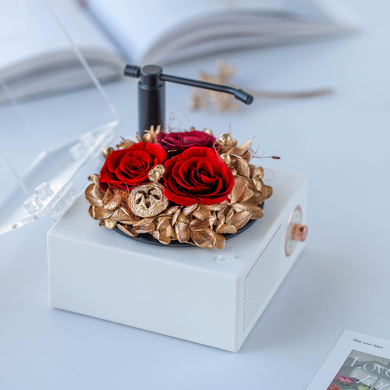 Preserved Flower Phonograph