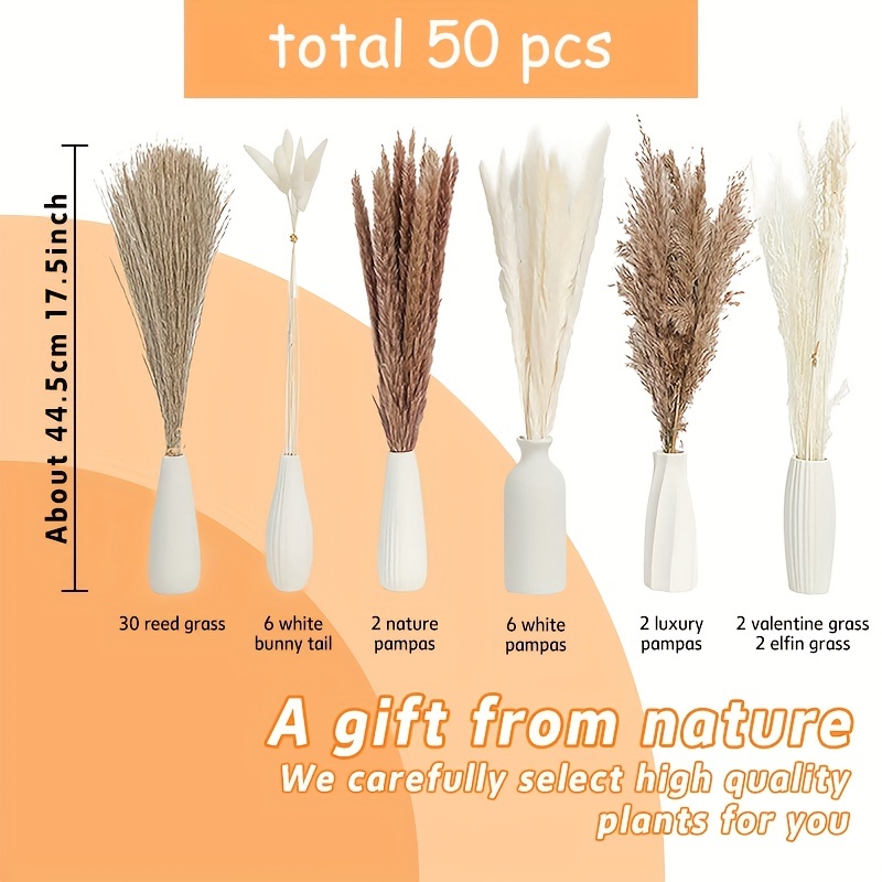 50 pcs pampas bouquet