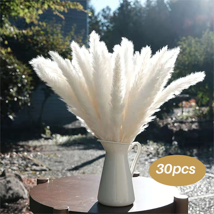 30pcs White pampas bouquet