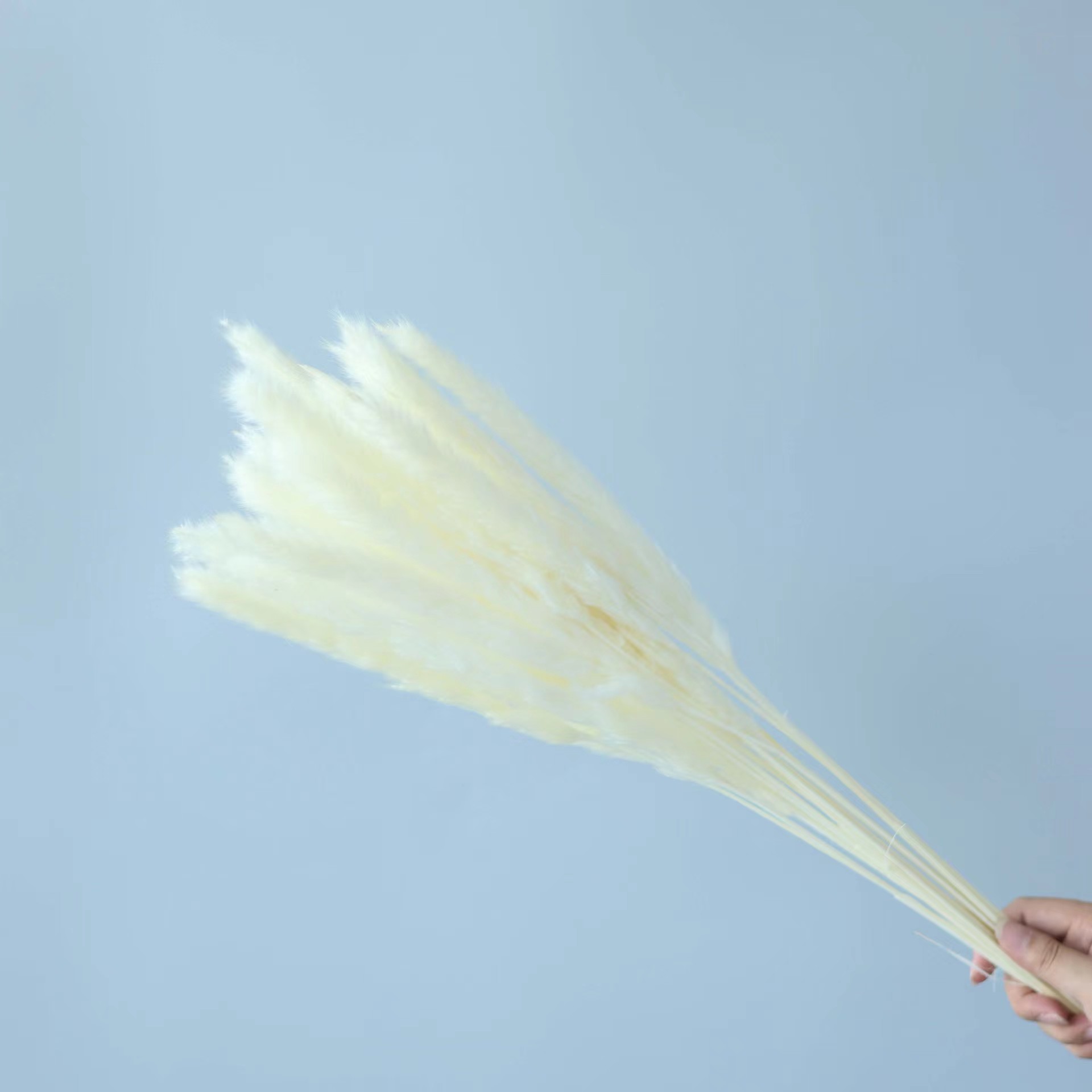 30pcs White pampas bouquet