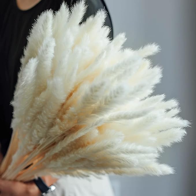 30pcs White pampas bouquet