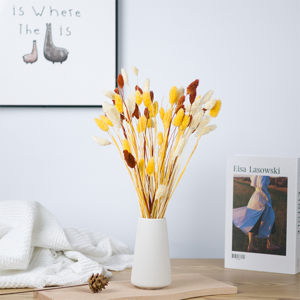 Phalaris Flowers Bouquet