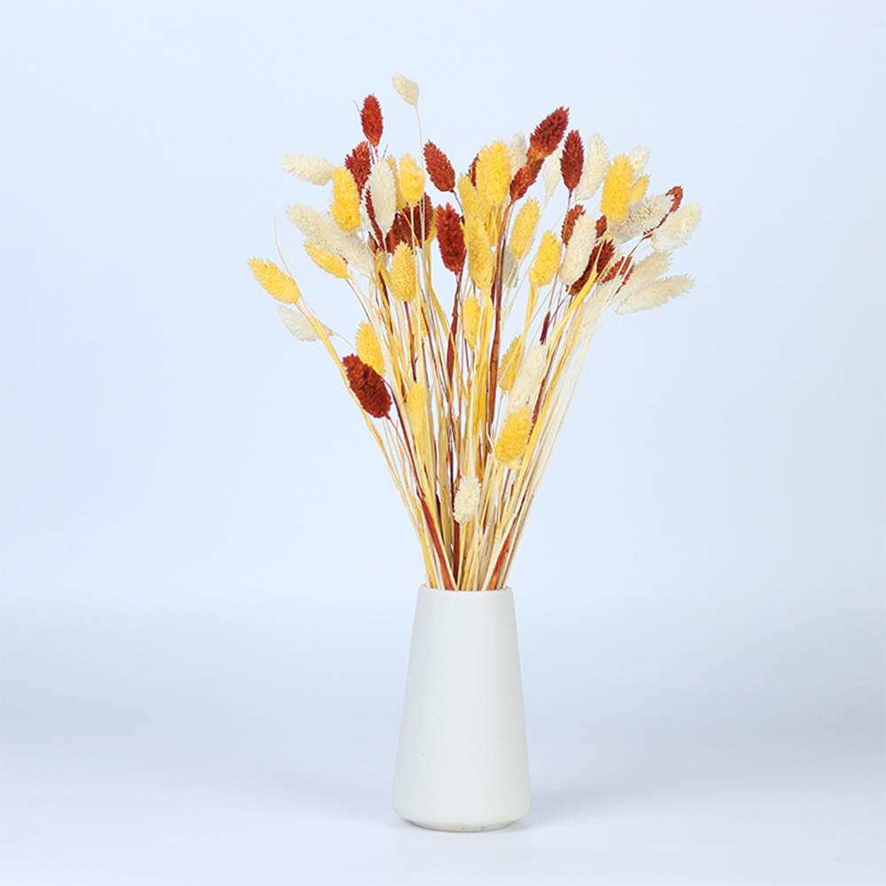 Phalaris Flowers Bouquet