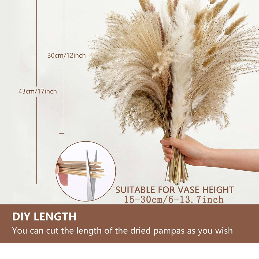 100pcs pampas grass bouquet 2
