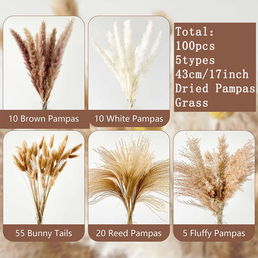 100pcs pampas grass bouquet 2