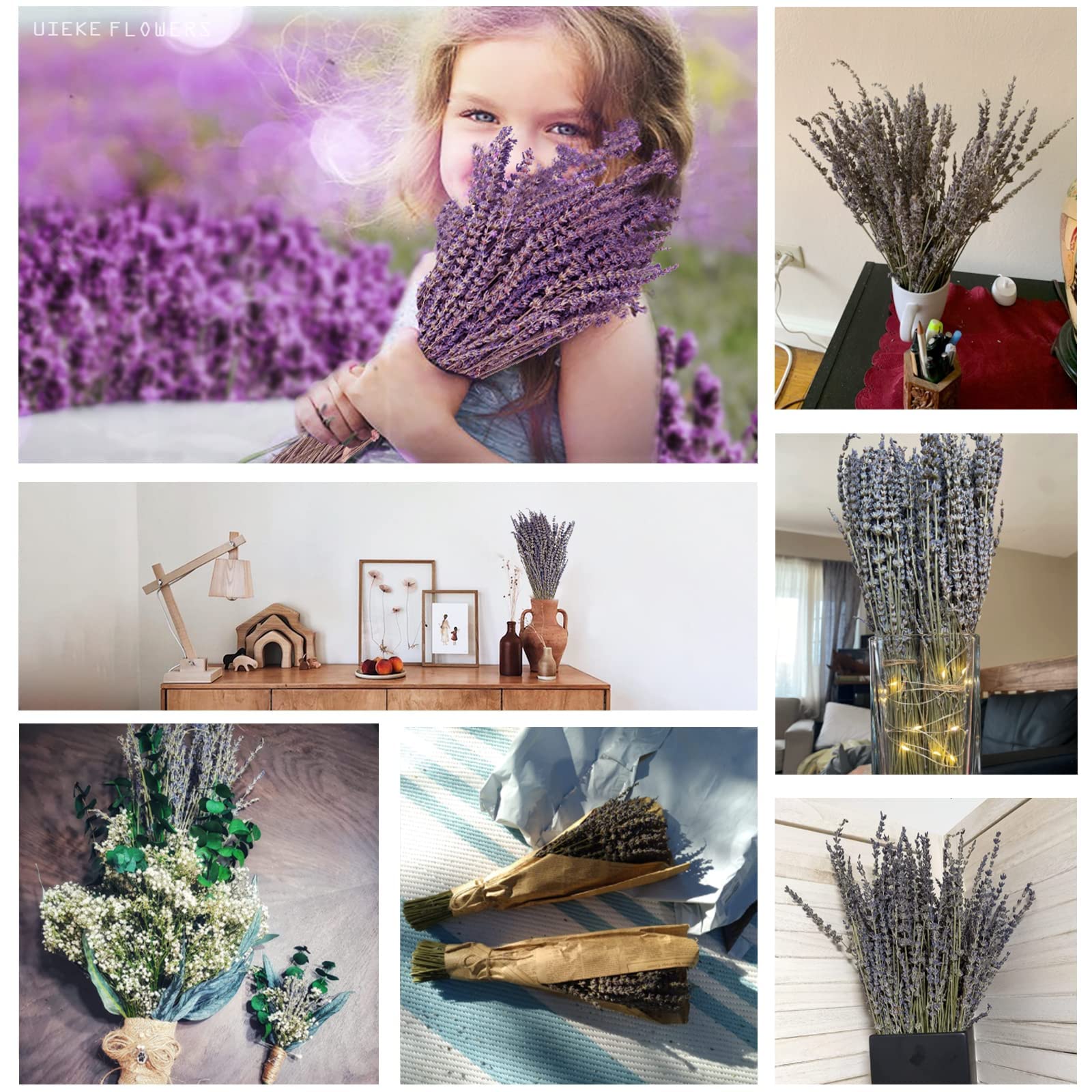 Dried Lavender