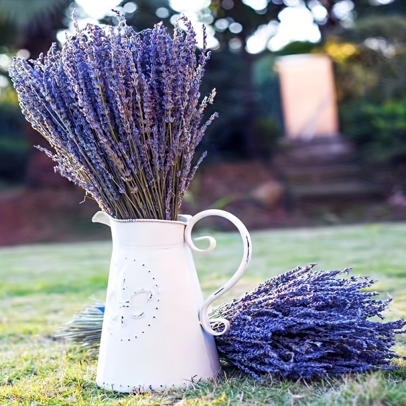 Dried Lavender