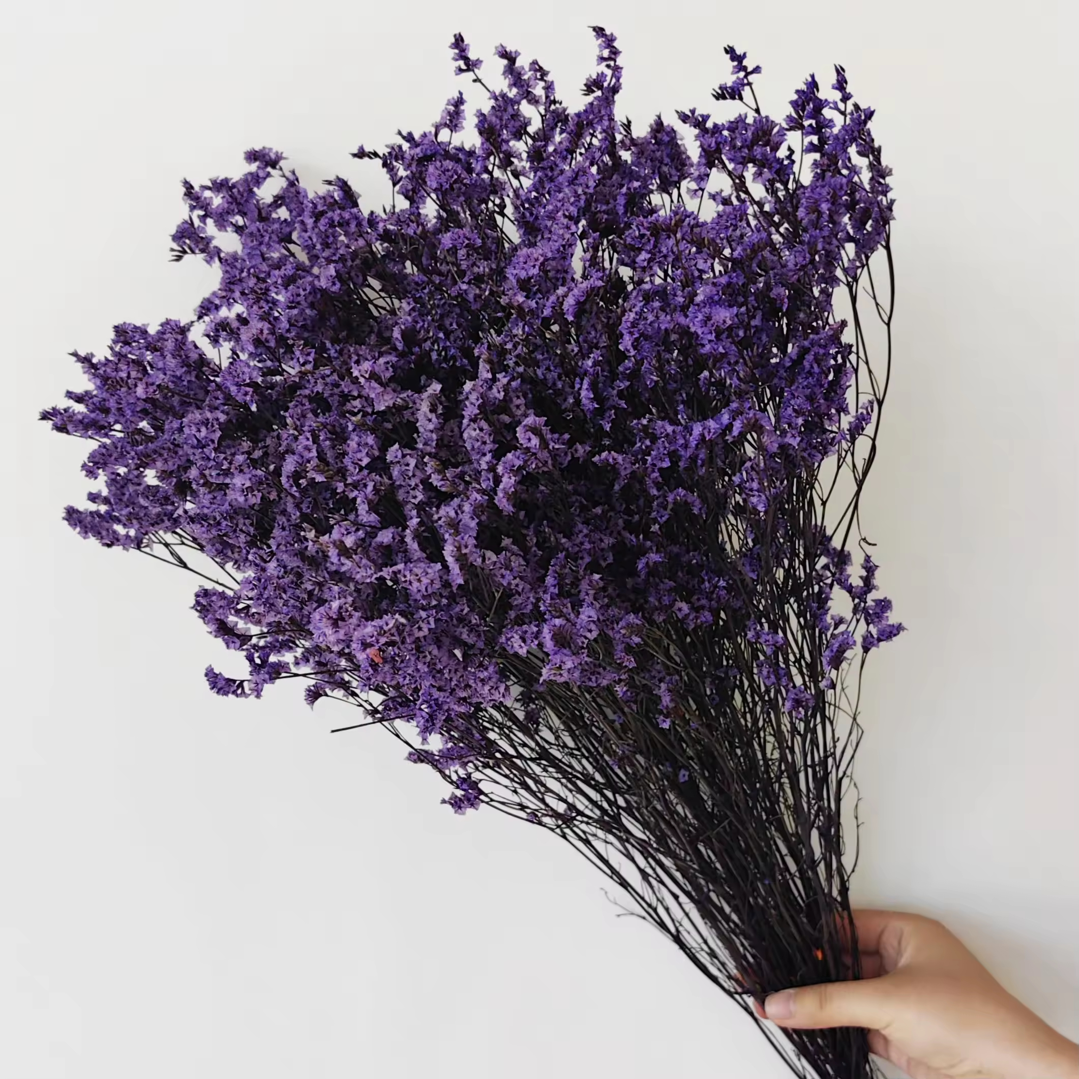 Crystal Grass