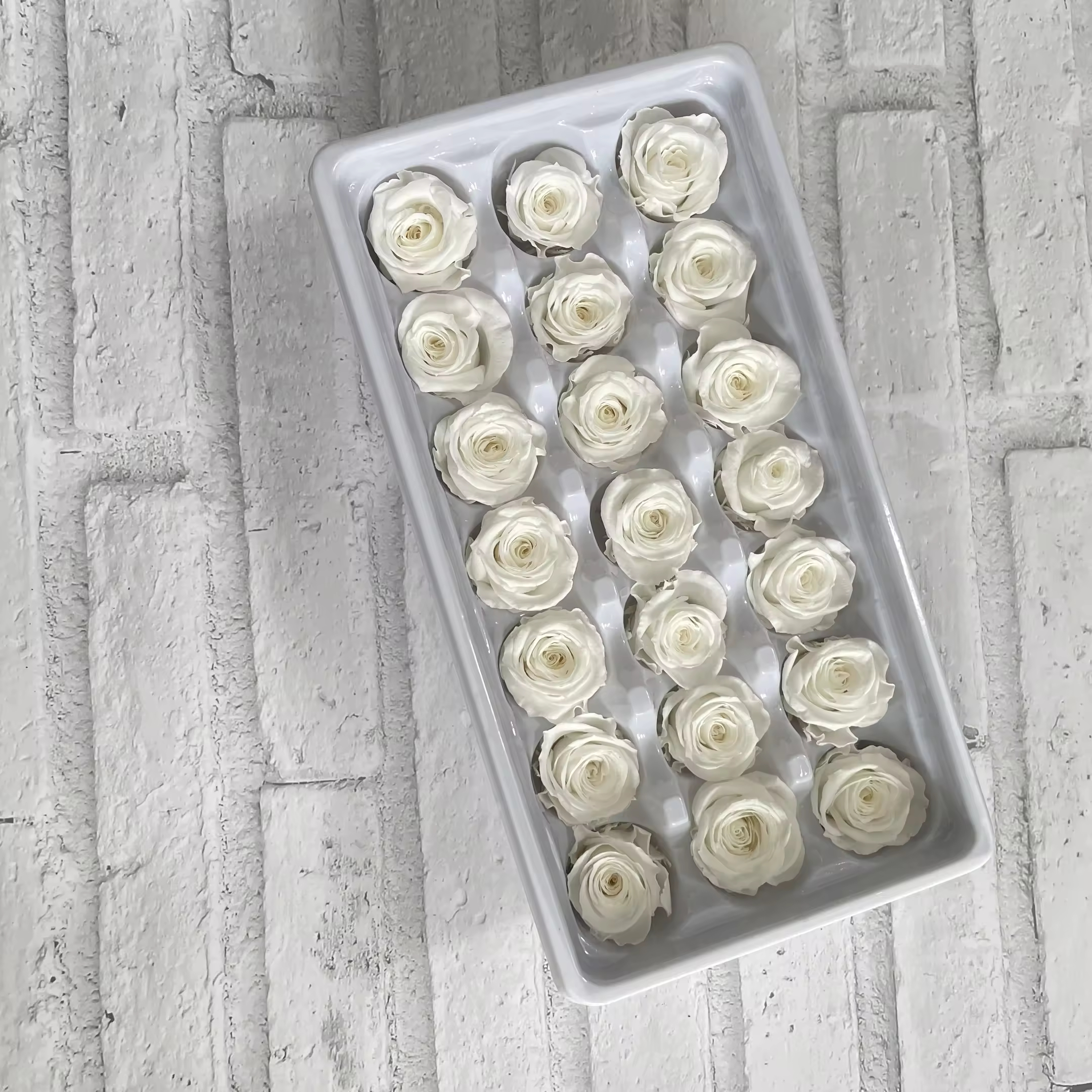 2-3cm Preserved Rose Head