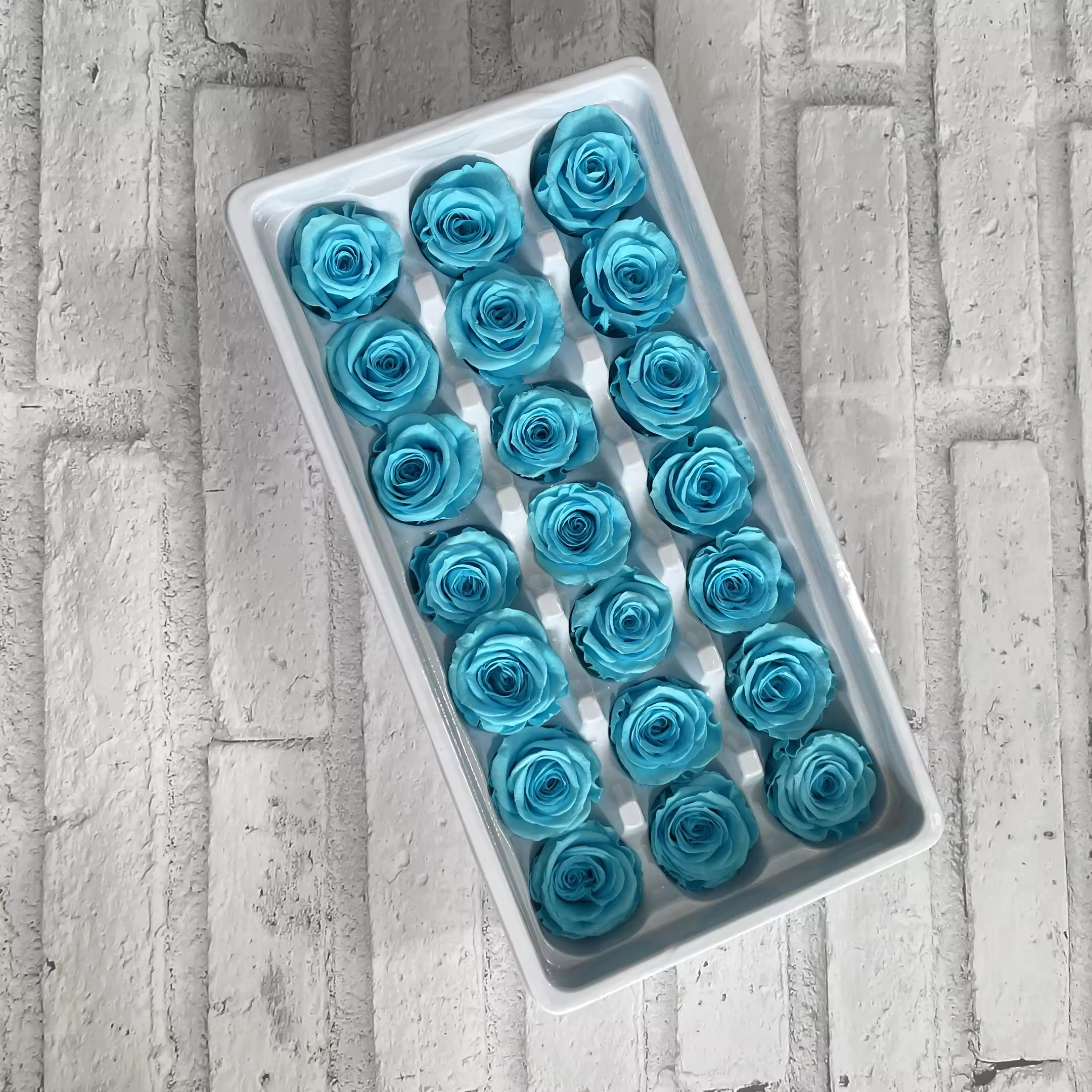 2-3cm Preserved Rose Head