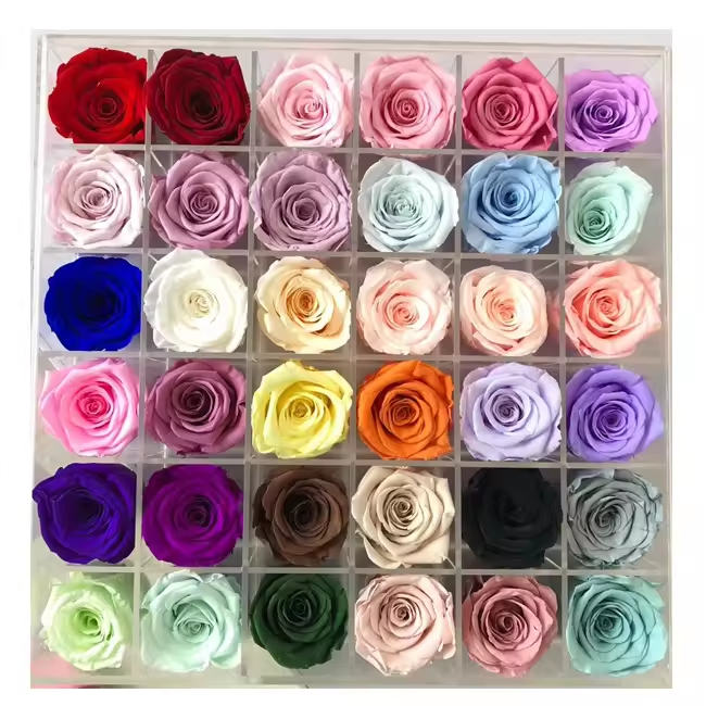 3-4cm Preserved Rose Head