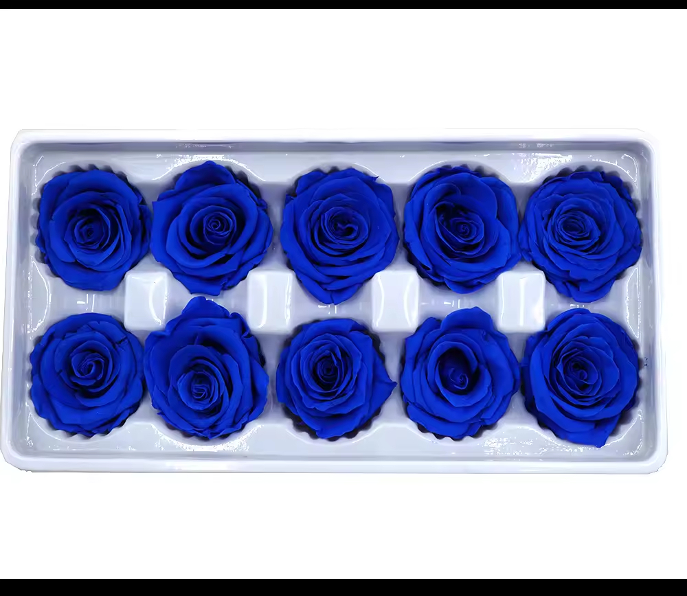 3-4cm Preserved Rose Head