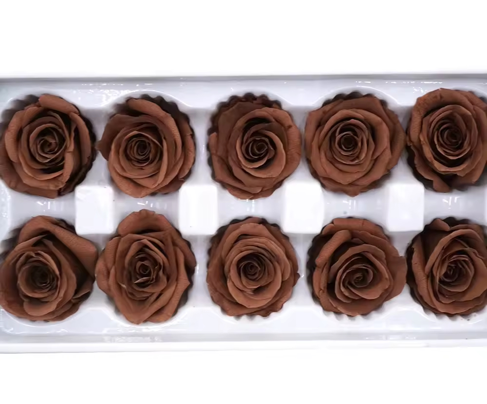 3-4cm Preserved Rose Head