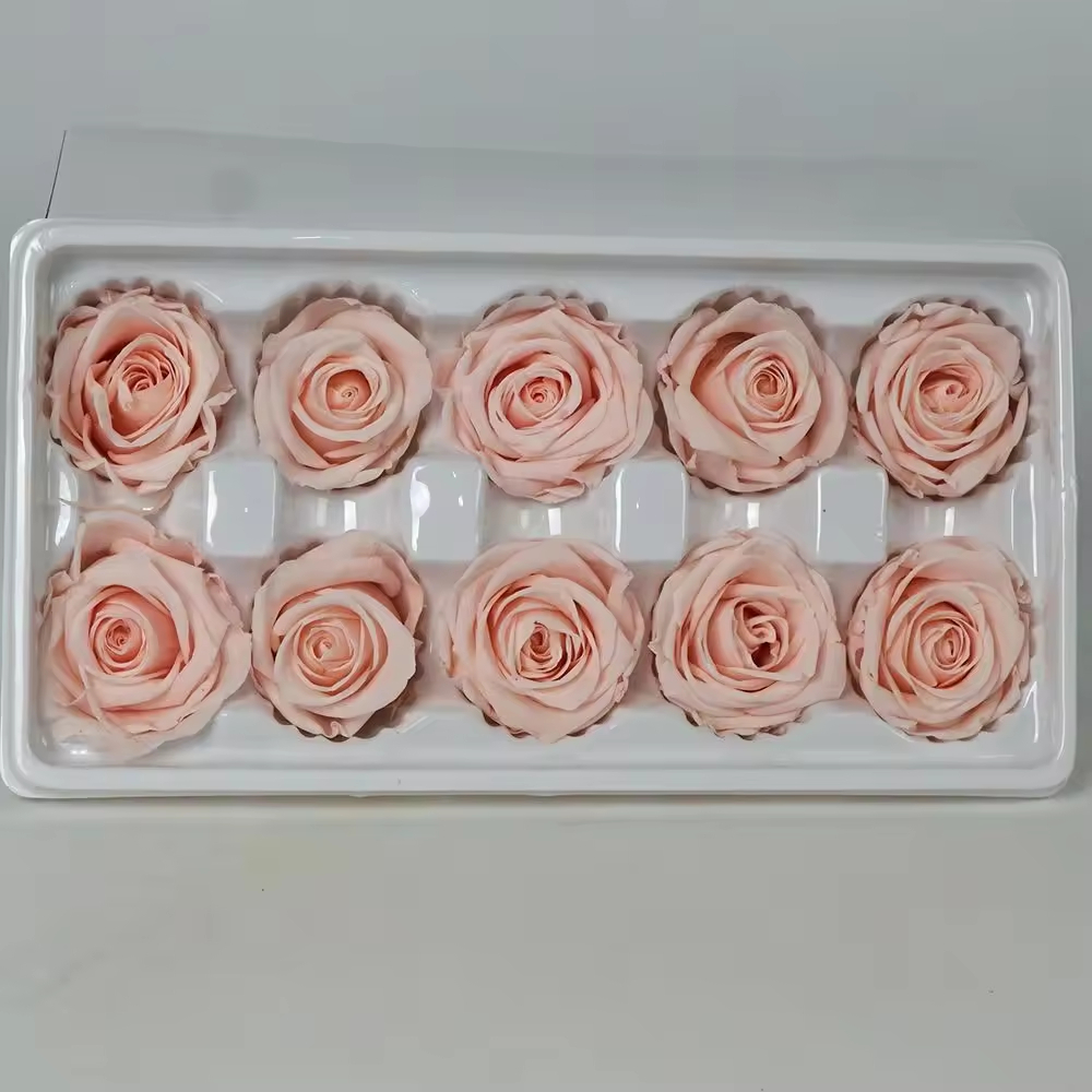 3-4cm Preserved Rose Head