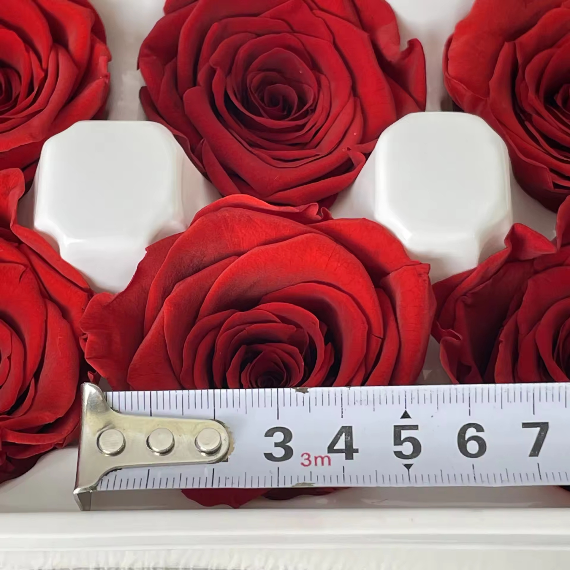 A Grade 5-6cm Preserved Rose Head