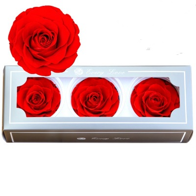 A Grade 7-8cm Preserved Rose Head