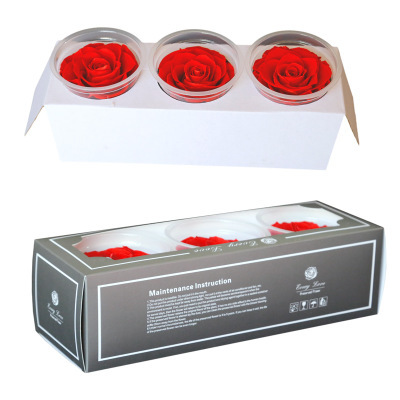 A Grade 7-8cm Preserved Rose Head
