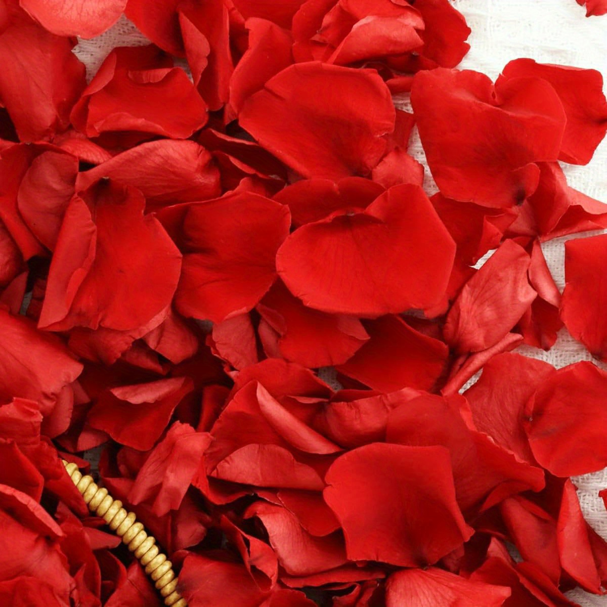 Preserved Natural Rose Petals