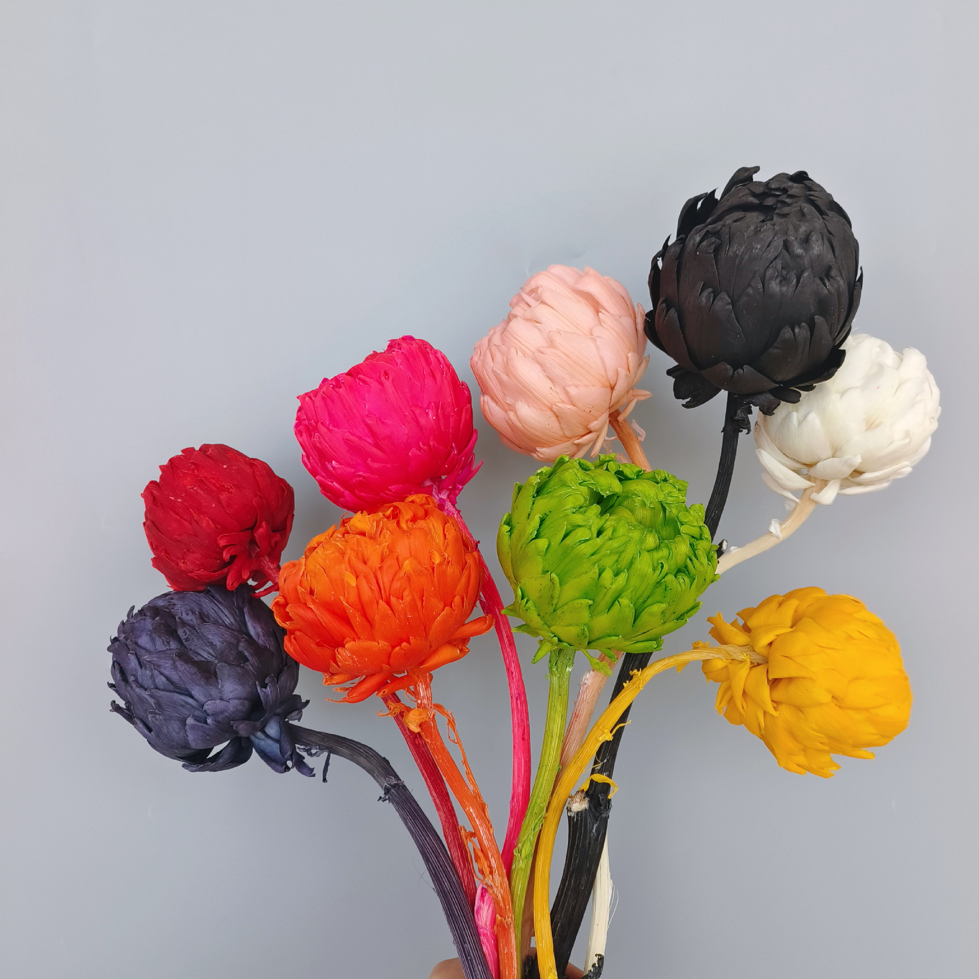 Preserved Artichoke Snow Lotus