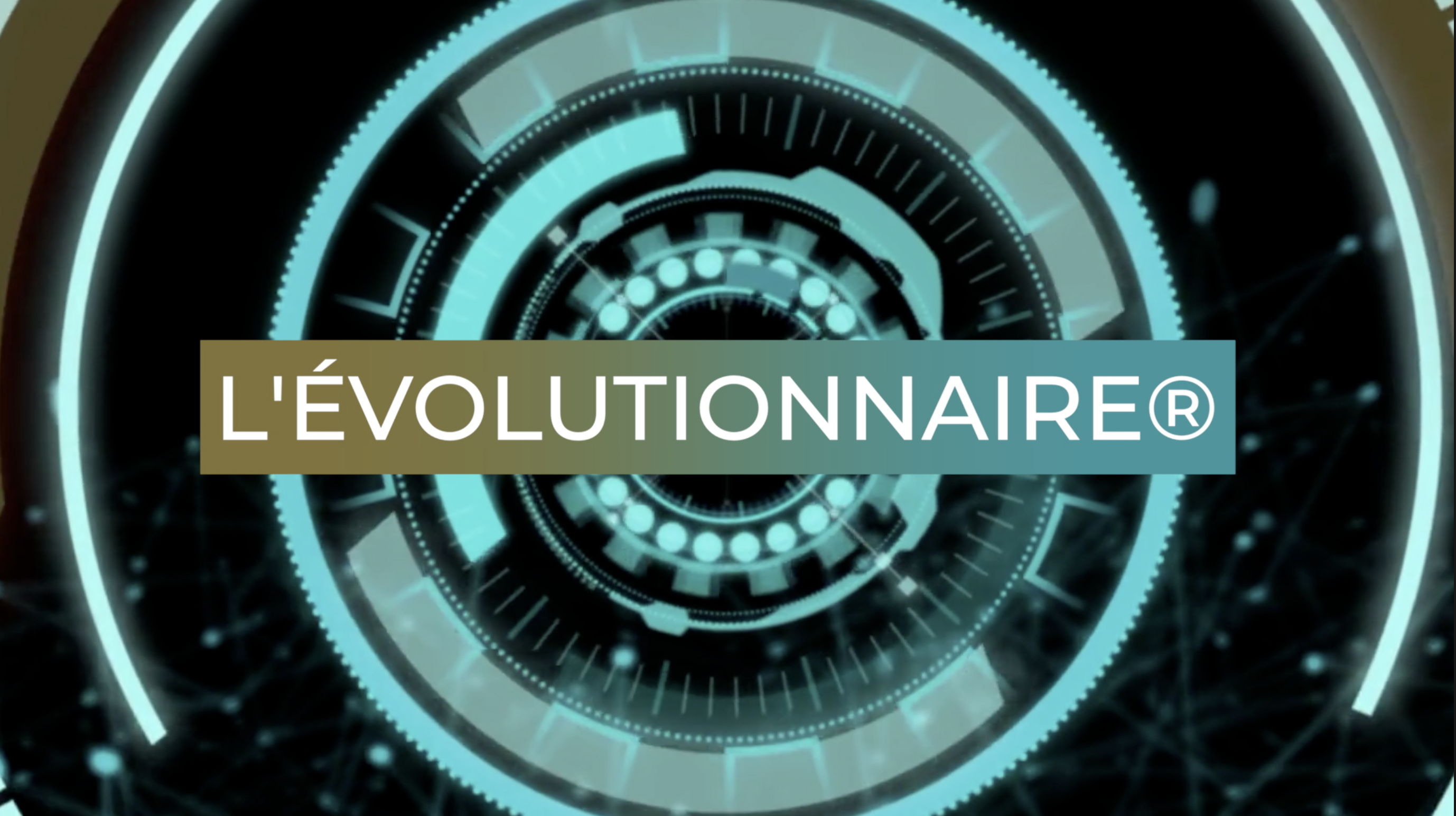 TEST EVOLUTIONNAIRE® + ANALYSE + RESTITUTION