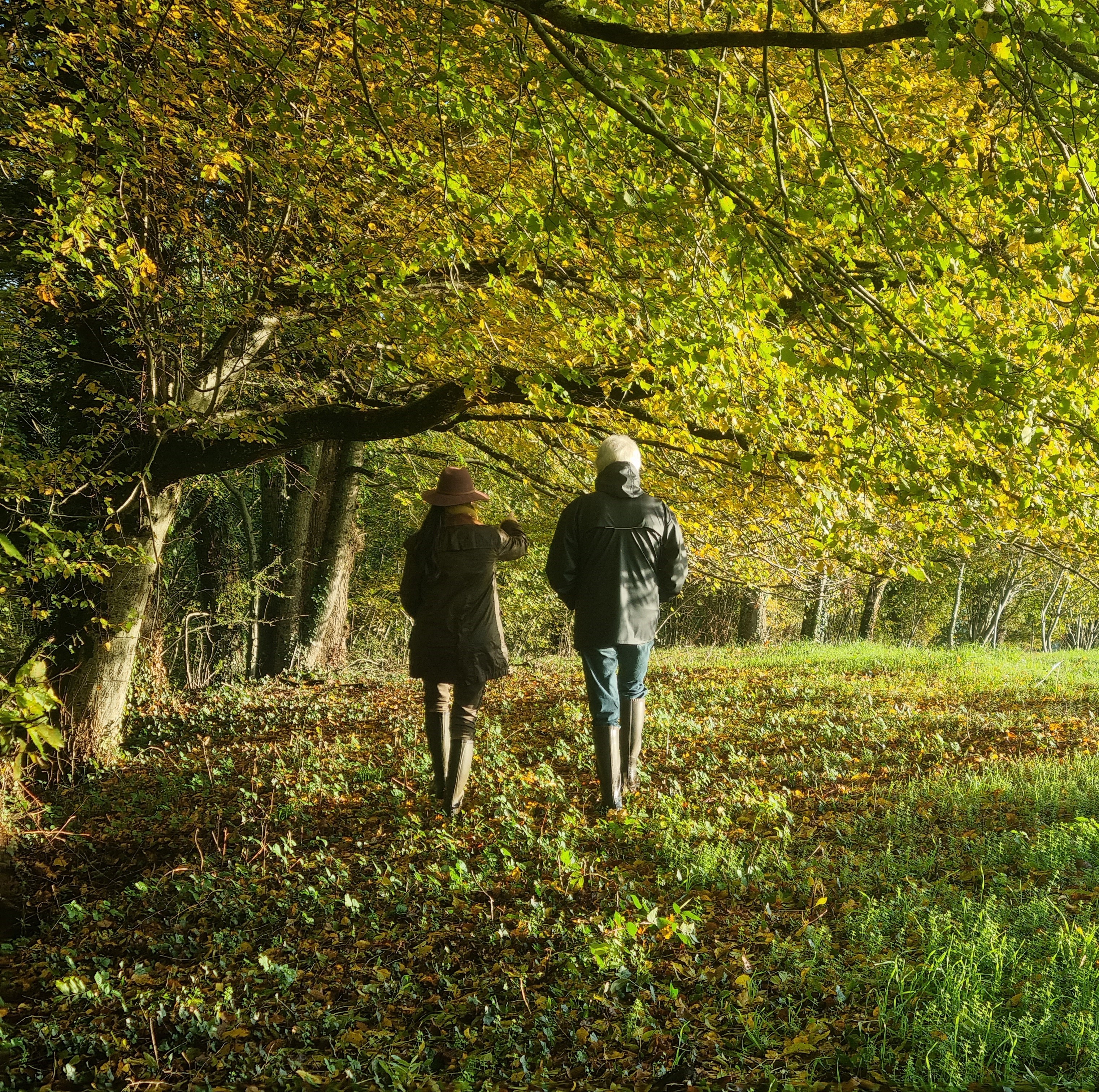 SE CONNAITRE Module 1 L'observation de soi et l'attention