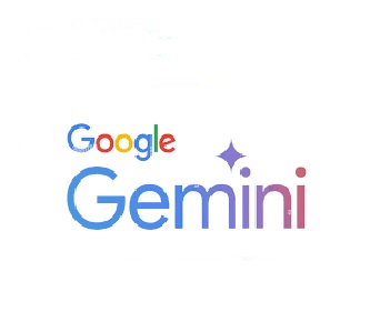 Google Gemini Flash / Pro