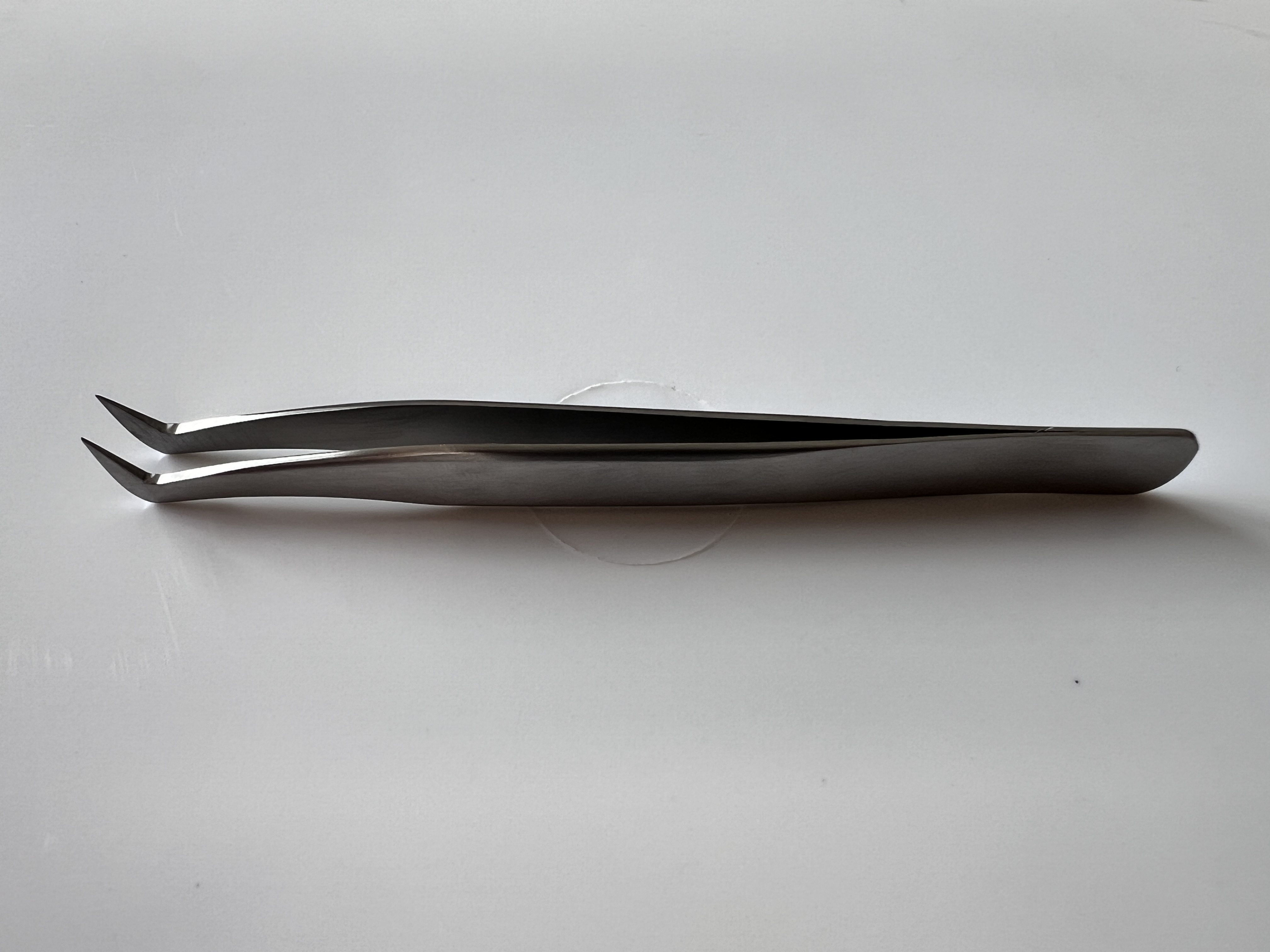 Stainless Steel Curved Tweezers