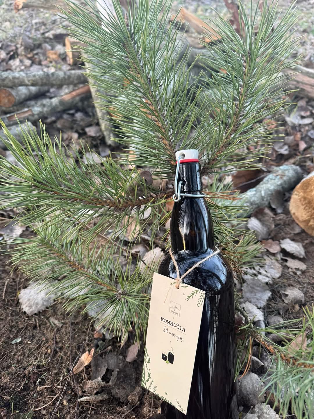 🔹 1l Šilauogių Kombučia