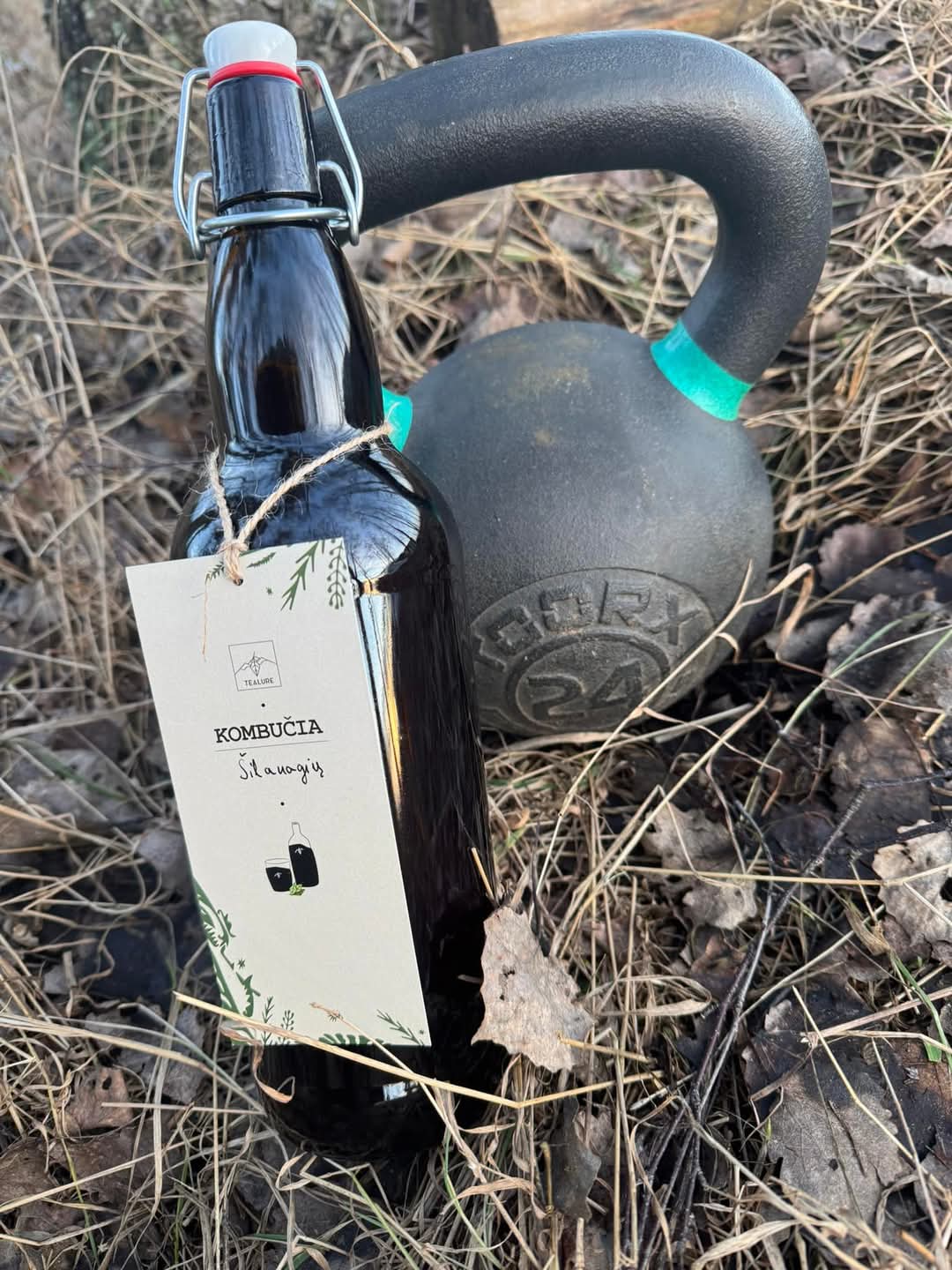 🔹 1l Šilauogių Kombučia