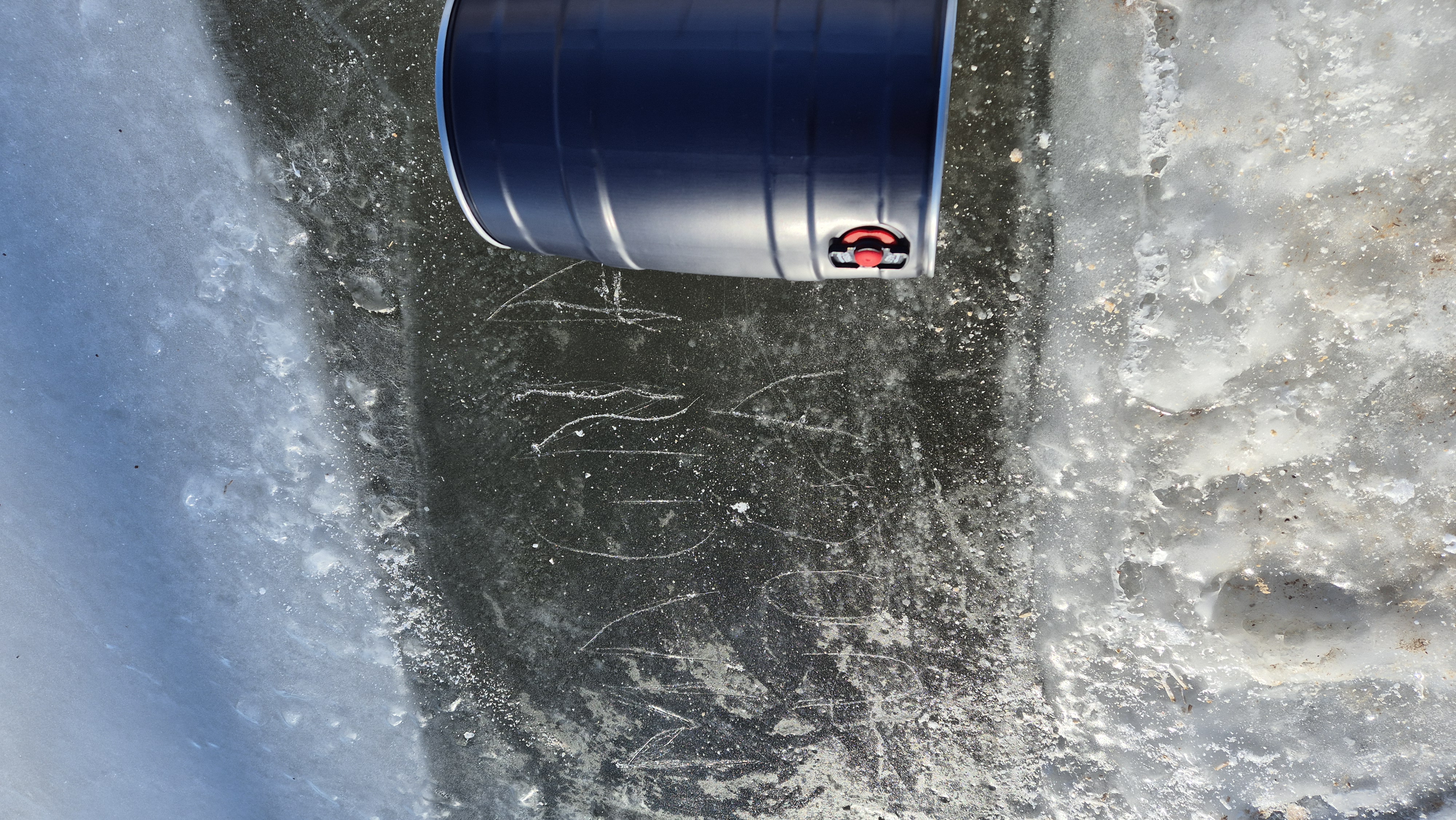 🔹 5 l Šilauogių Kombučia