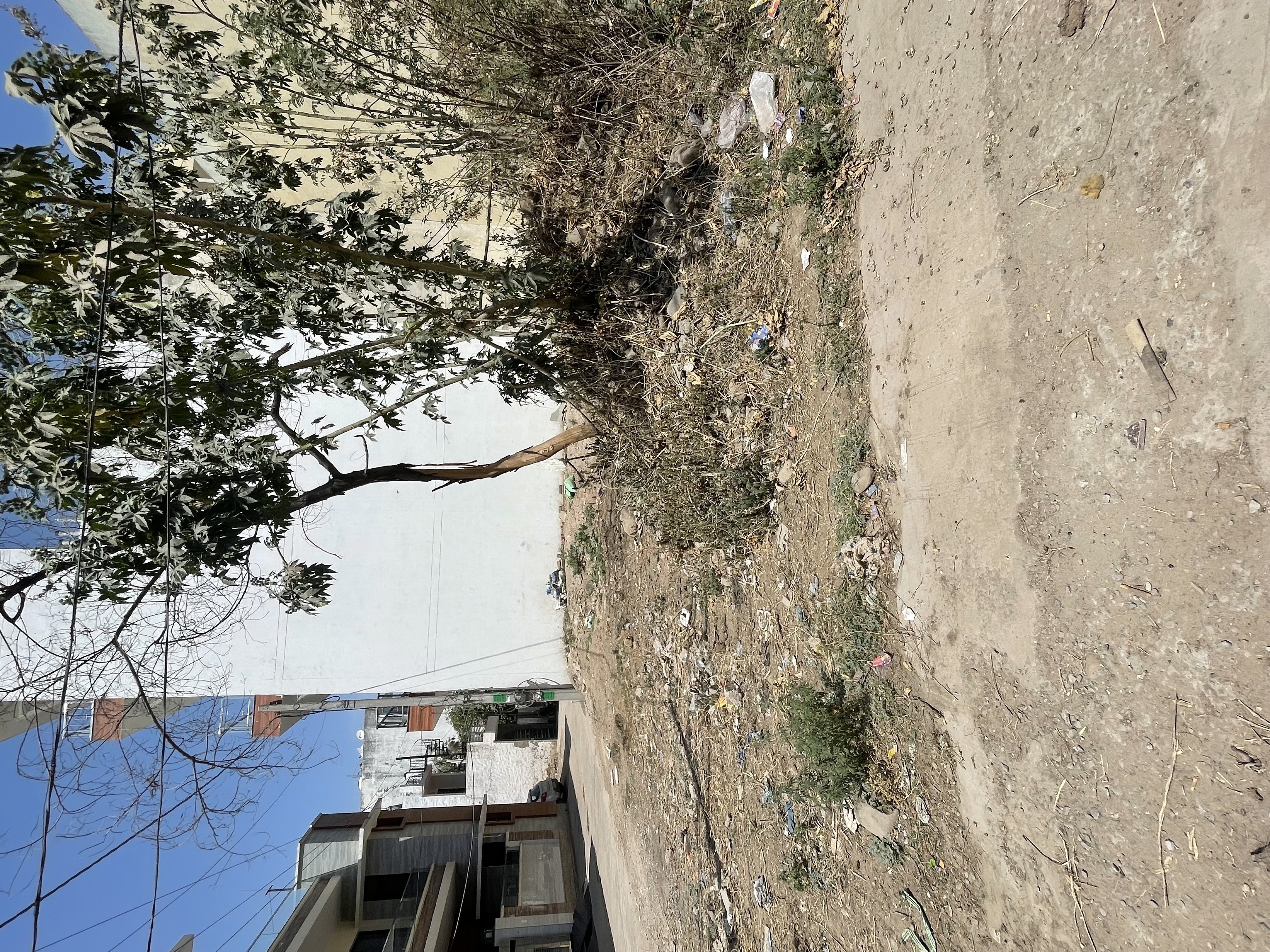 🏡 Hill View Corner Plot for Sale in Pinjore | Only ₹20 Lac/Biswa | Perfect for Dream Home!