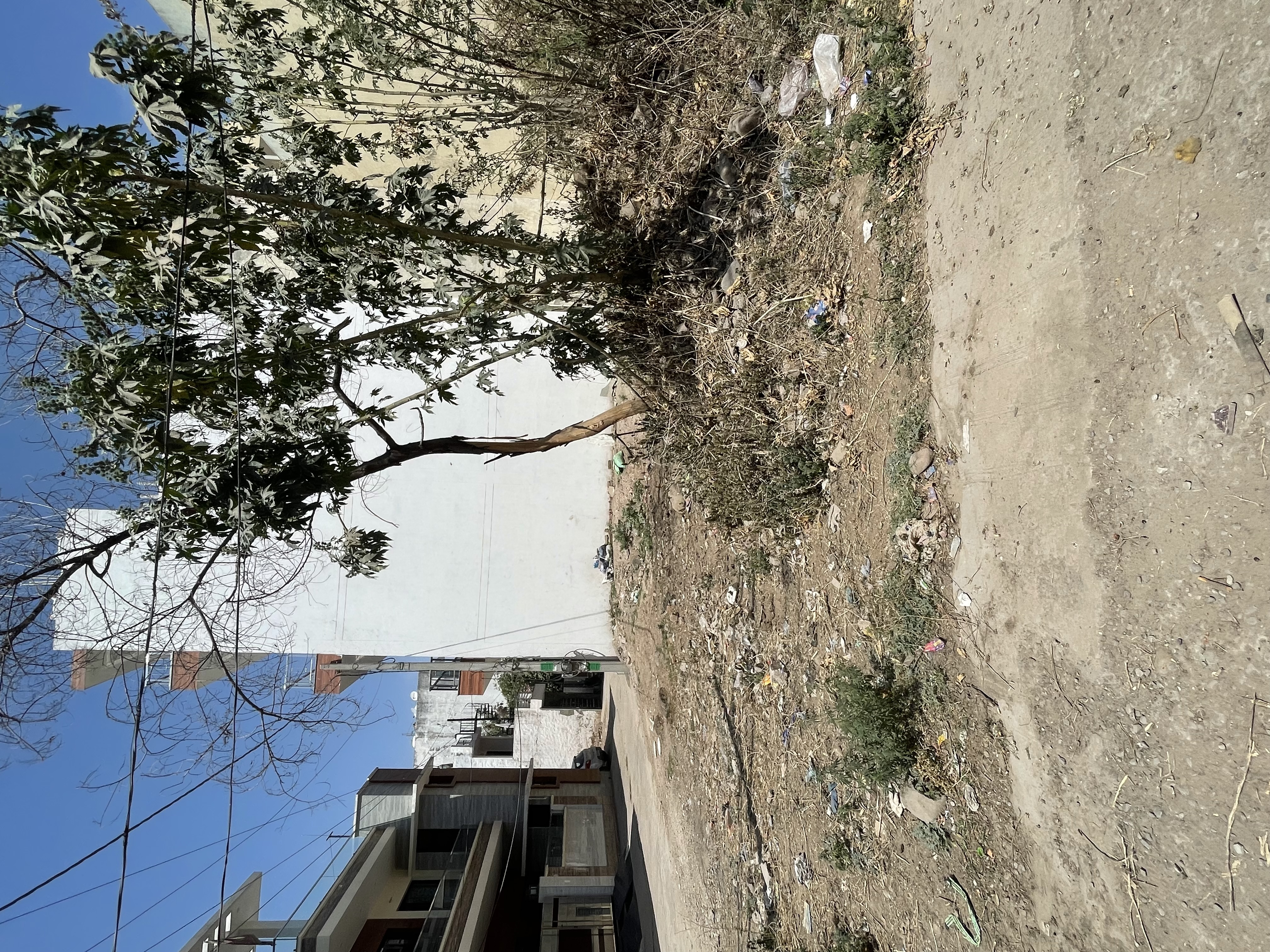 🏡 Hill View Corner Plot for Sale in Pinjore | Only ₹20 Lac/Biswa | Perfect for Dream Home!