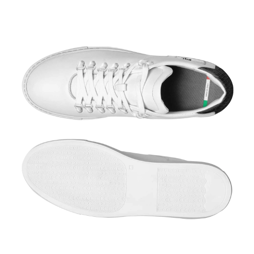 KICKOFF: B$L Dinero XL