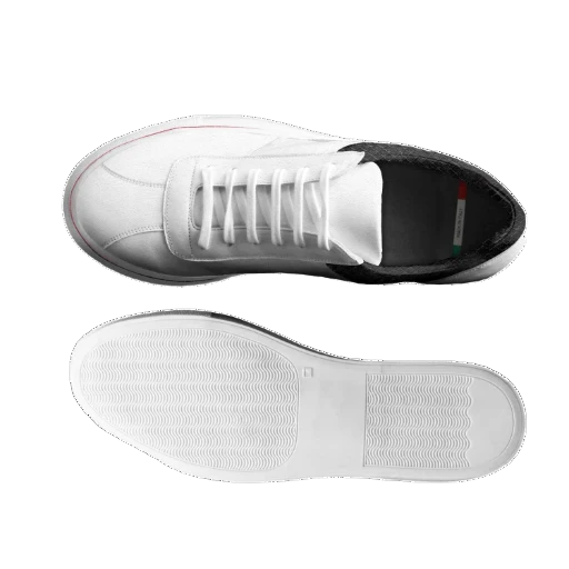 KICKOFF: Dominguez II 1981 RER