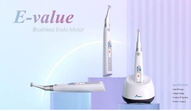 Essential Dental Care Products Online