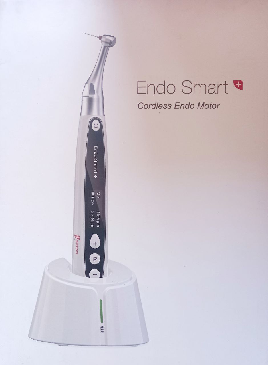 Endo Smart