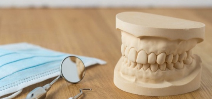 Dental Model Set