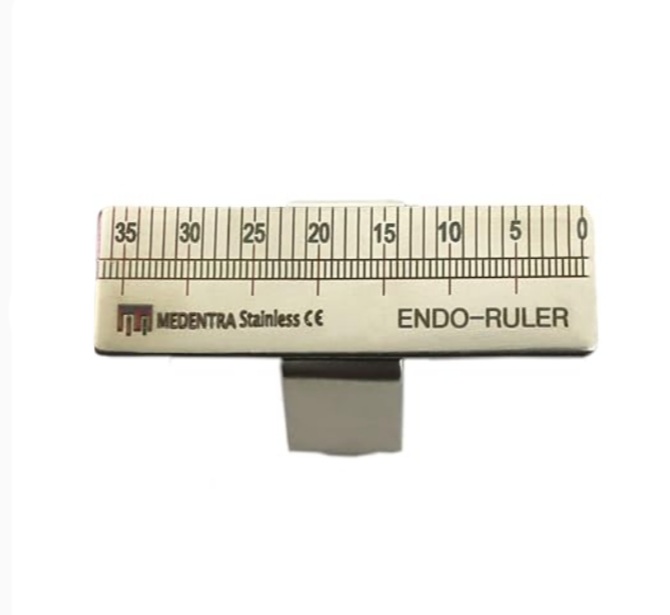 Endo-Ruler