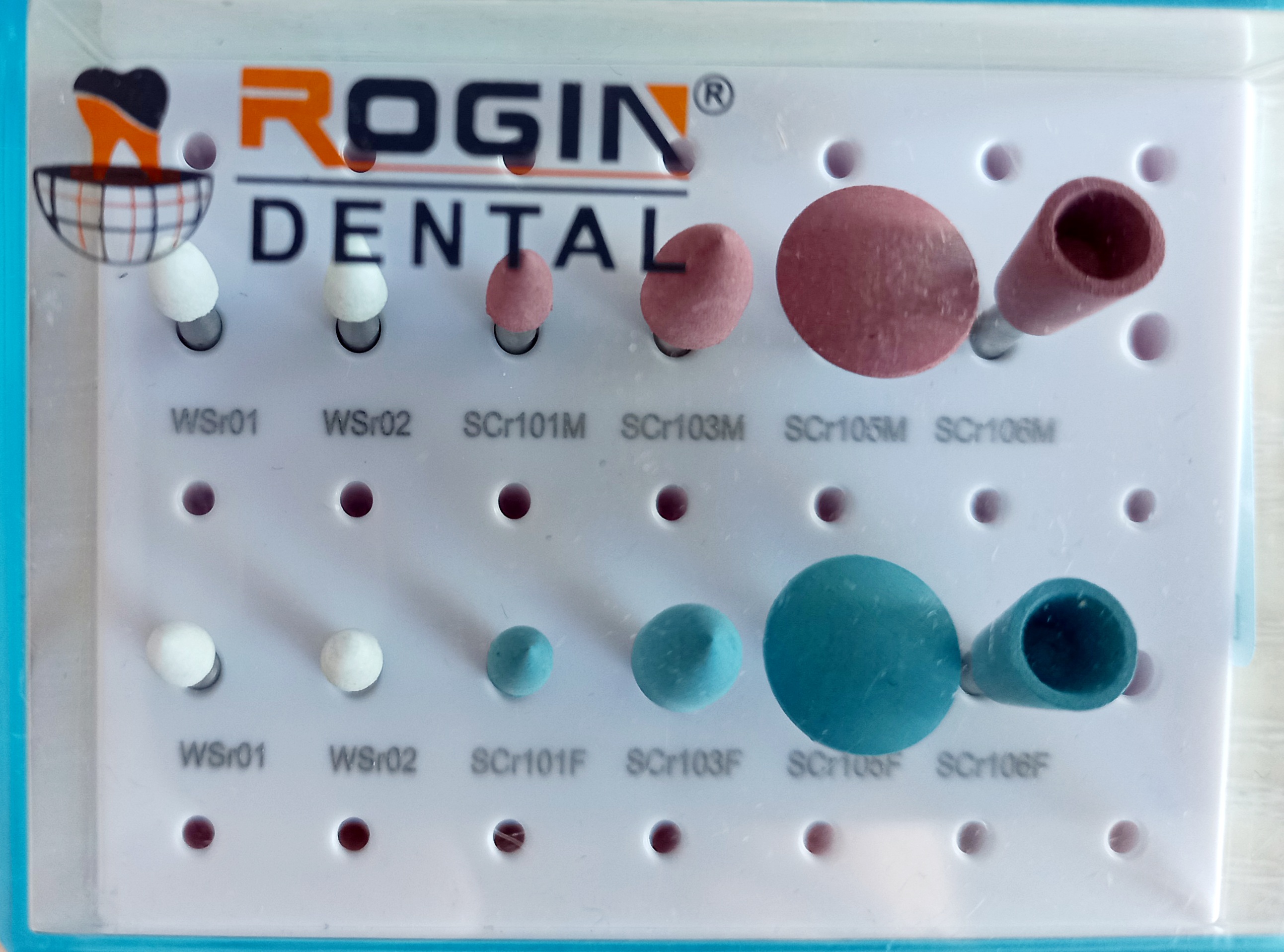 Rogin Dental Tool Set