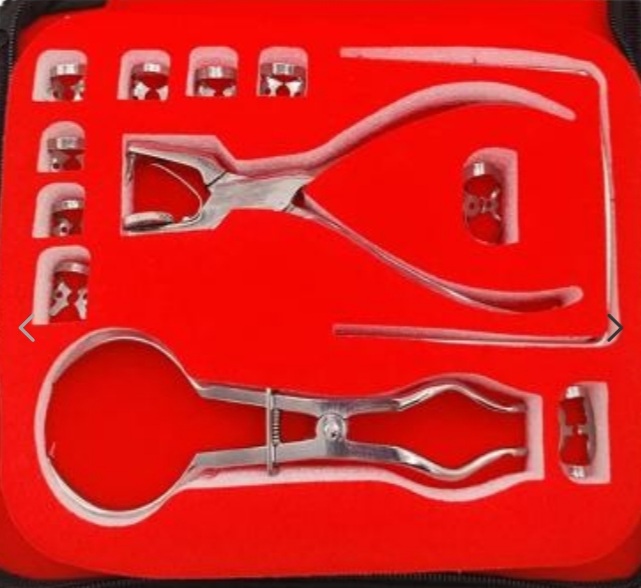 Veterinary Castration Kit