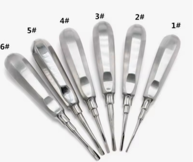 Dental Root Elevator Set