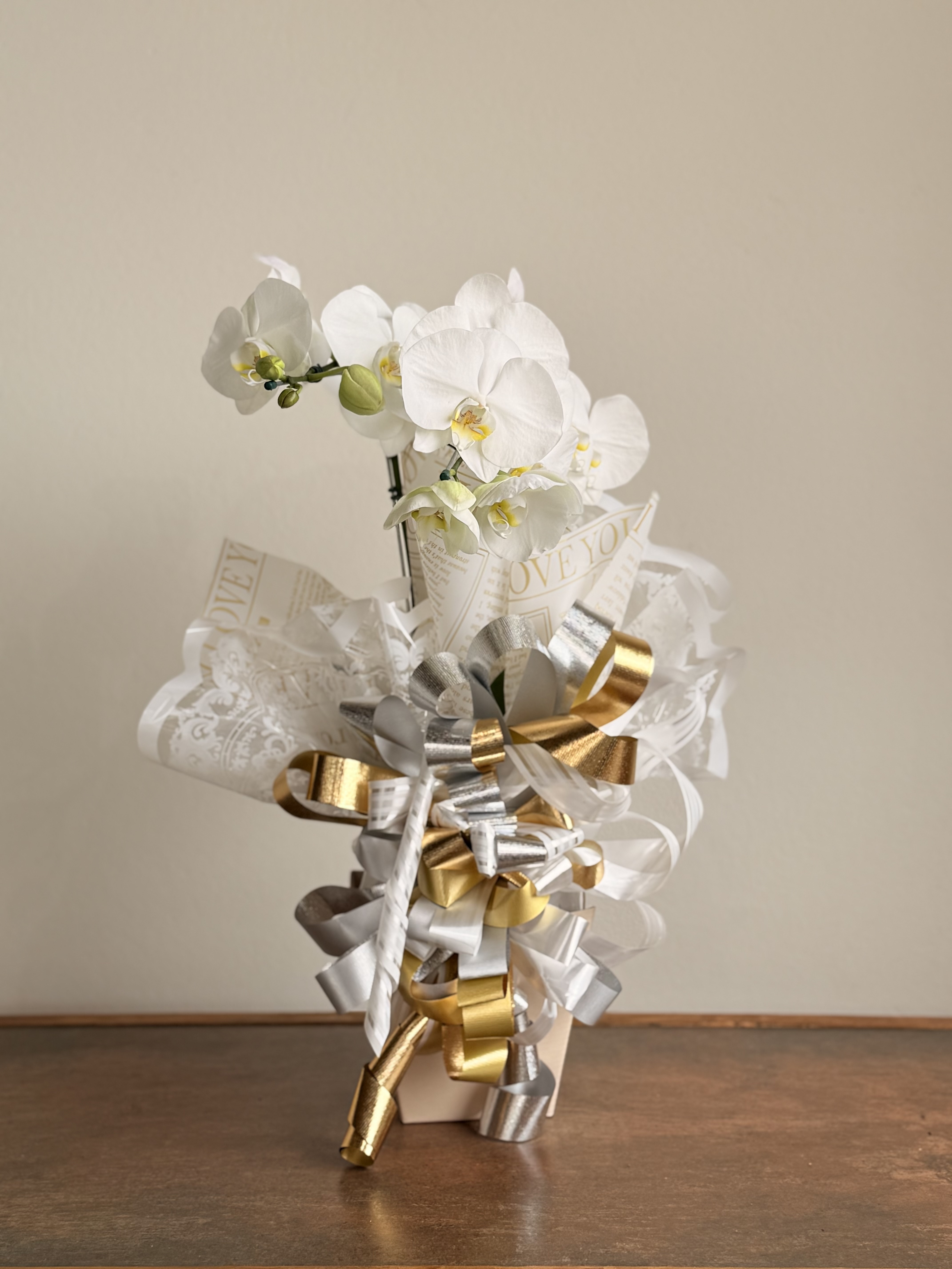 Orquidea Phalaenopsis Branca 