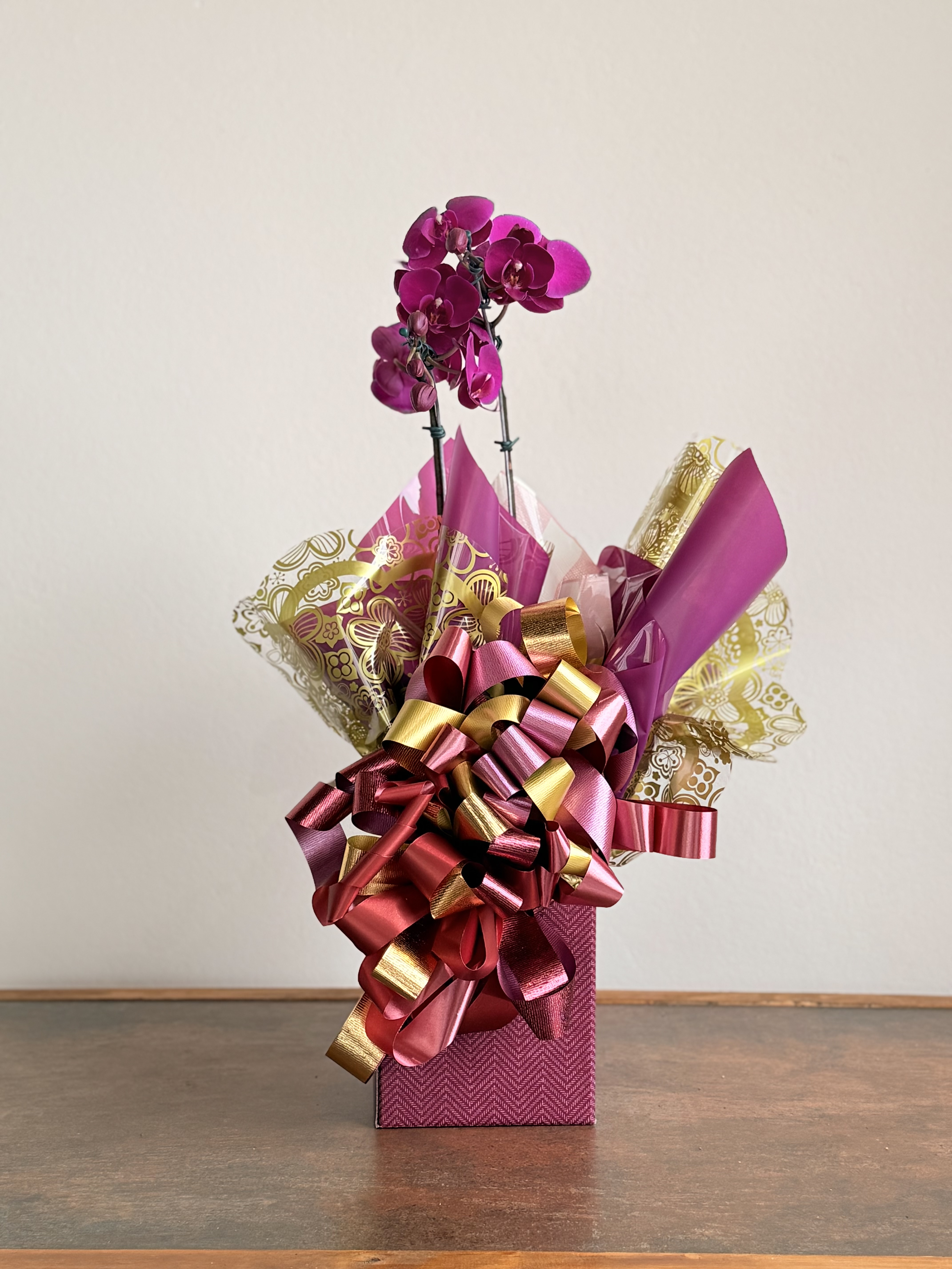 Orquidea Phalaenopsis Roxa