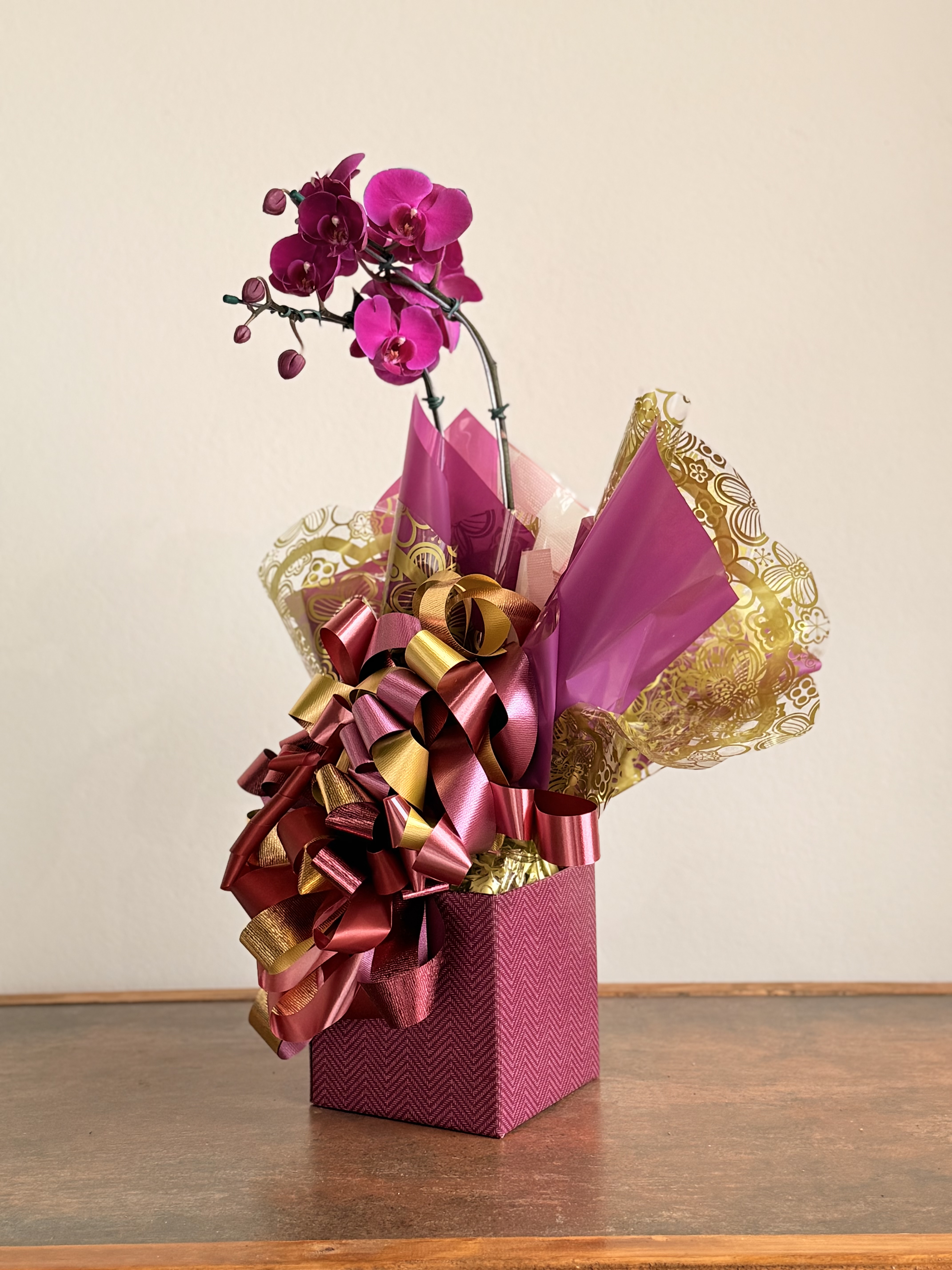 Orquidea Phalaenopsis Roxa