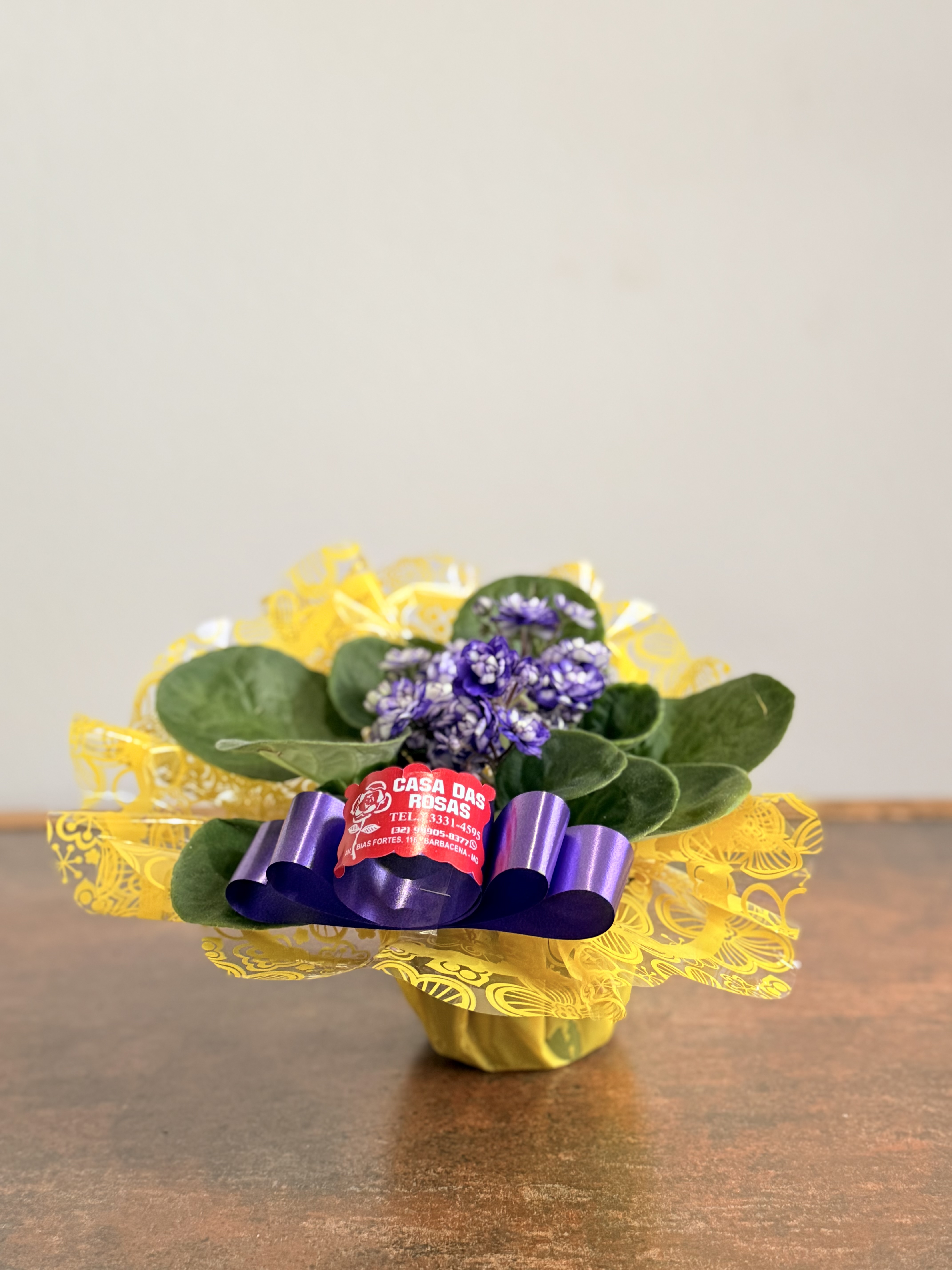 Violeta Dobrada (cores sortidas)