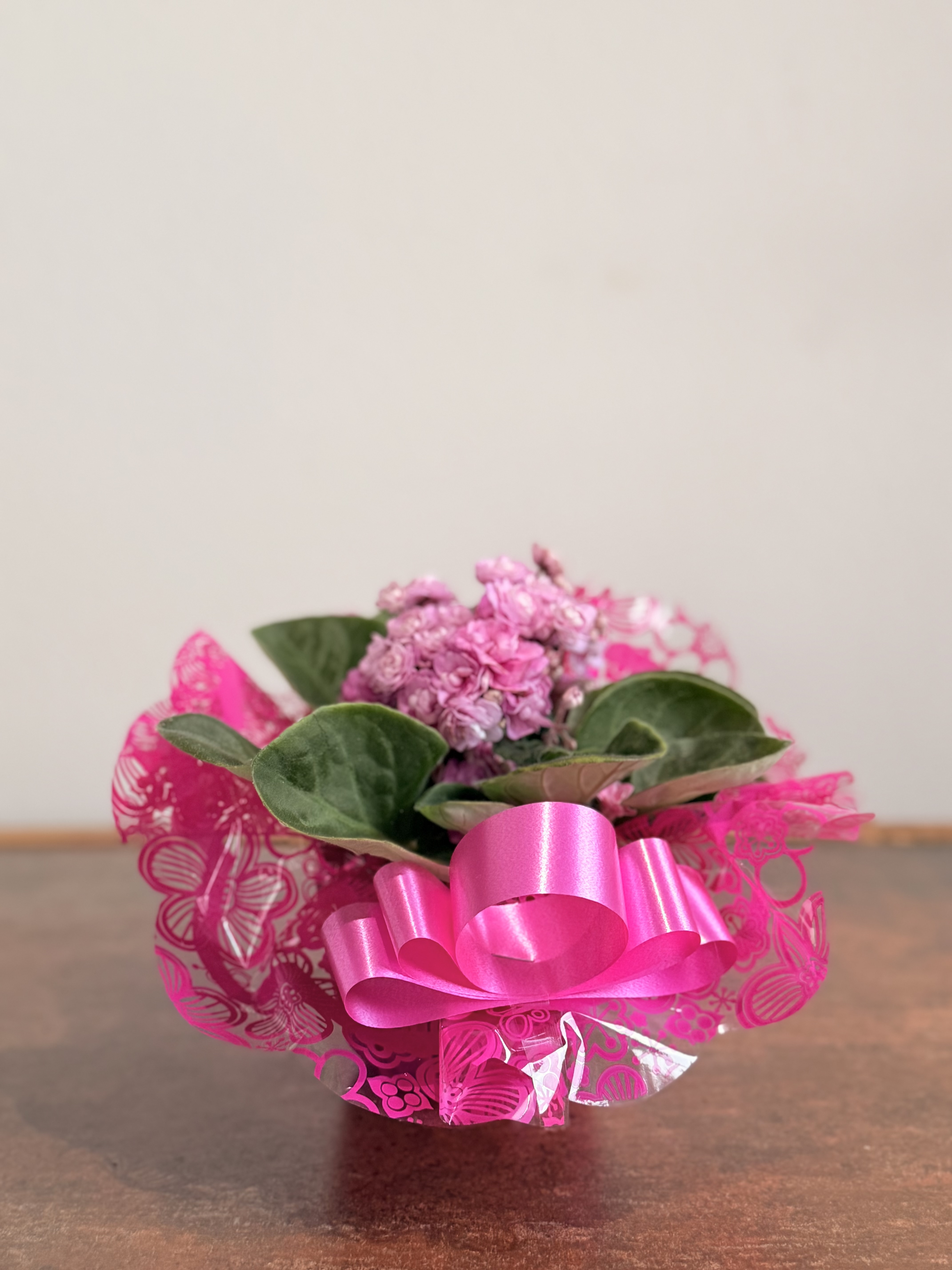 Violeta Dobrada (cores sortidas)