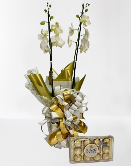Kit Orquídea Branca e Ferrero Rocher