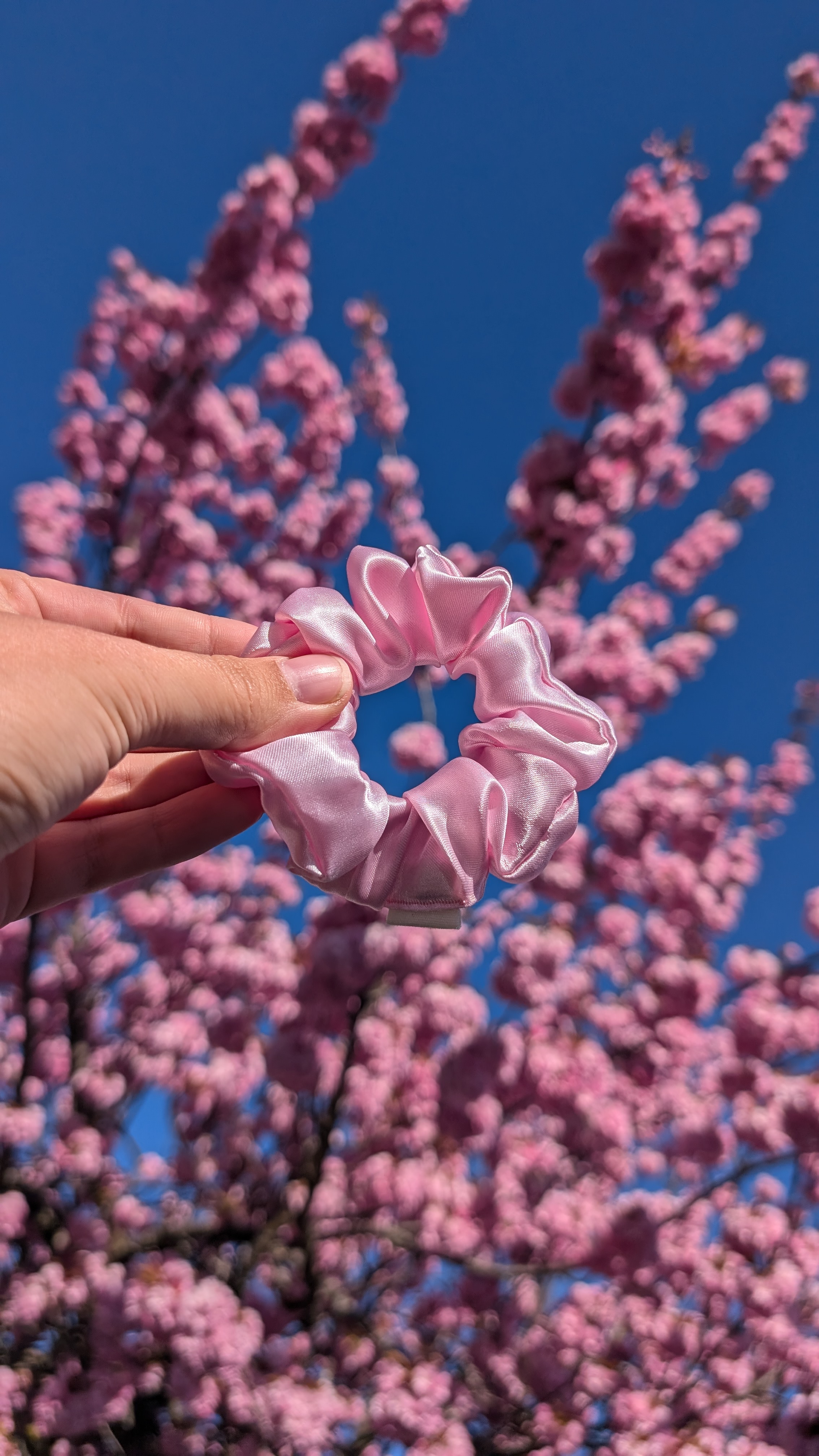 Scrunchie – Myk Rosa
